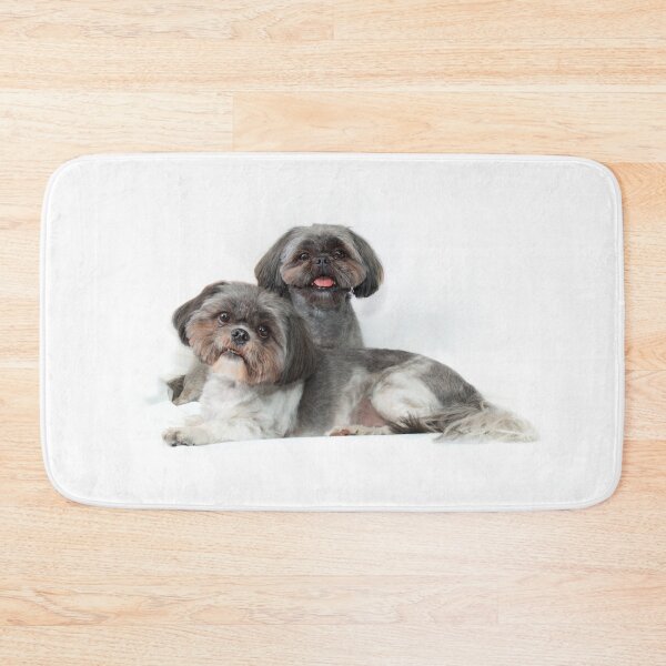 Item preview, two cute shih tzu dogs on white background looking at viewer designed and sold by Stephen Orsillo.