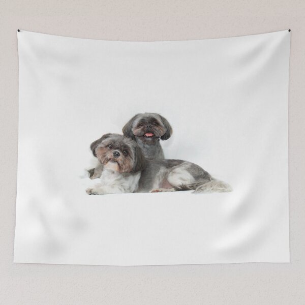 Item preview, two cute shih tzu dogs on white background looking at viewer designed and sold by Stephen Orsillo.