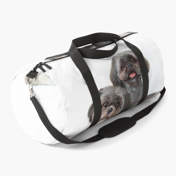 Item preview, two cute shih tzu dogs on white background looking at viewer designed and sold by Stephen Orsillo.