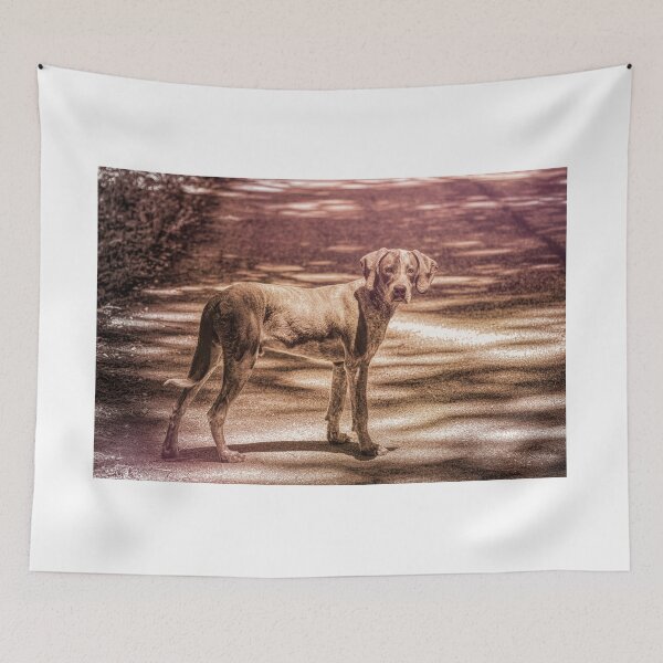 Item preview, Are Ya' Comin' Or Not designed and sold by Jim Love.