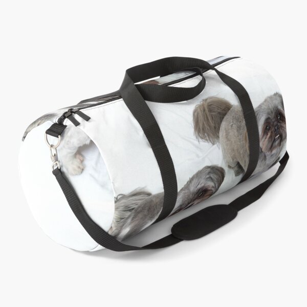 Item preview, two shih tzu dogs standing looking up at viewer designed and sold by Stephen Orsillo.