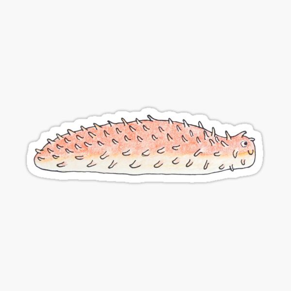 Tiefsee-Seegurke Sticker