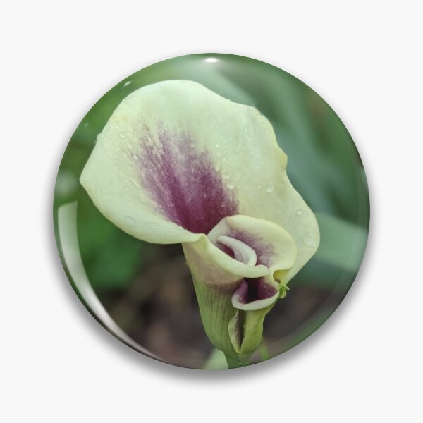 Item preview, Calla Lilies Photographic Image designed and sold by AustaArt.