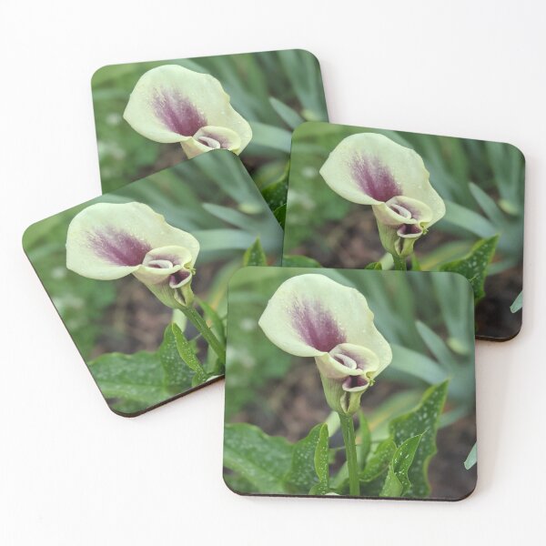 Item preview, Calla Lilies Photographic Image designed and sold by AustaArt.