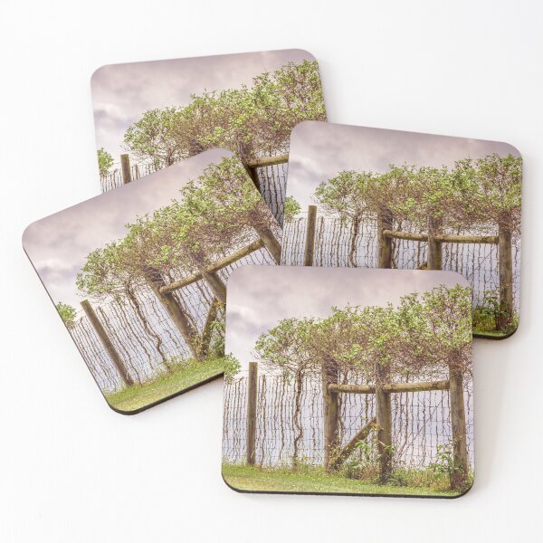 Item preview, Bushy Fence designed and sold by Jim Love.