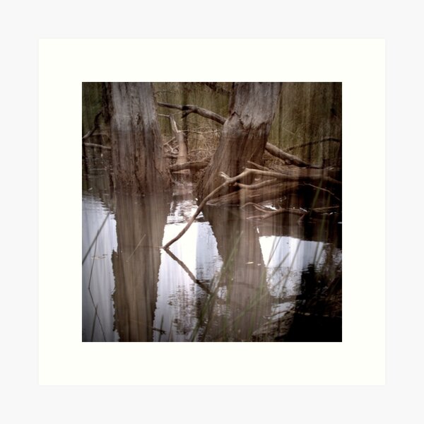 Item preview, Magpie Springs - Montage 5 designed and sold by Ben Loveday.