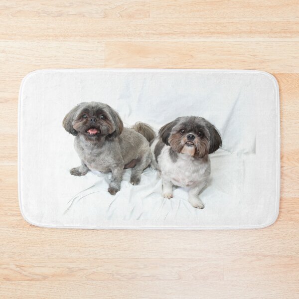 Item preview, two shih tzu dogs sitting looking up at viewer on white designed and sold by Stephen Orsillo.