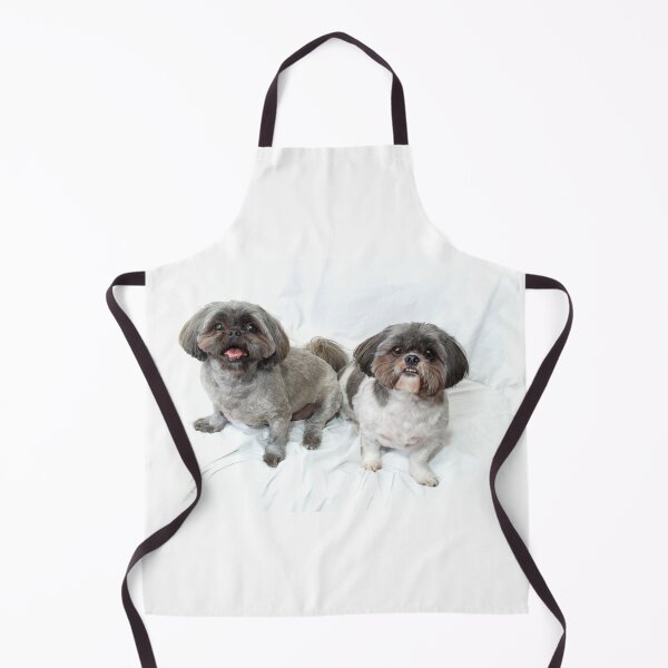 Item preview, two shih tzu dogs sitting looking up at viewer on white designed and sold by Stephen Orsillo.