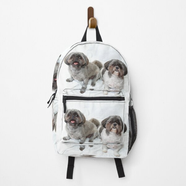 Item preview, two shih tzu dogs sitting looking up at viewer on white designed and sold by Stephen Orsillo.