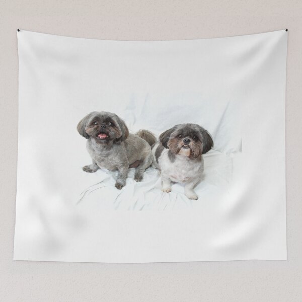 Item preview, two shih tzu dogs sitting looking up at viewer on white designed and sold by Stephen Orsillo.