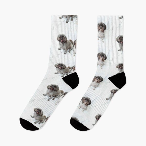 Item preview, two shih tzu dogs sitting looking up at viewer on white designed and sold by Stephen Orsillo.