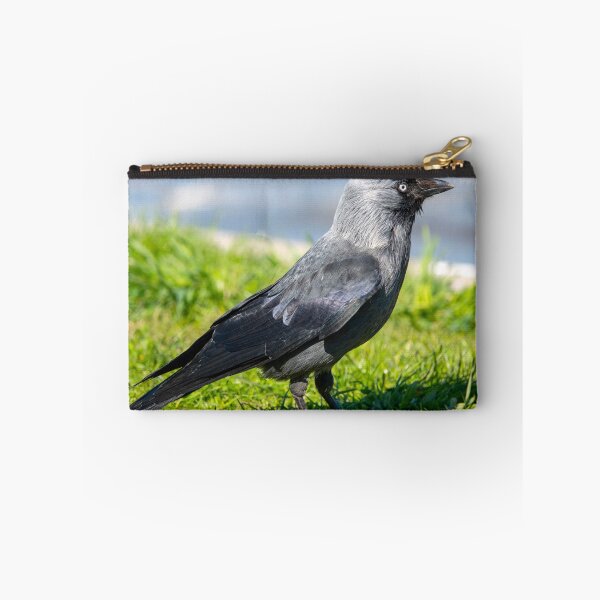 Item preview, Western jackdaw designed and sold by troianifabrizio.