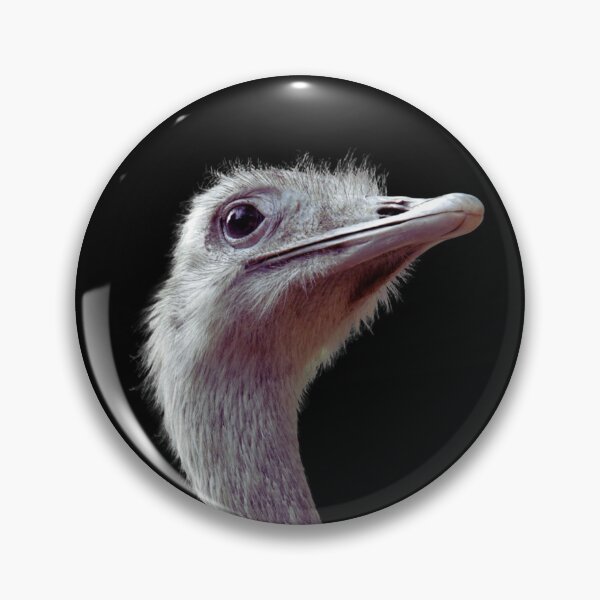 Item preview, Rhea Bird Head designed and sold by HistoryDesigns.