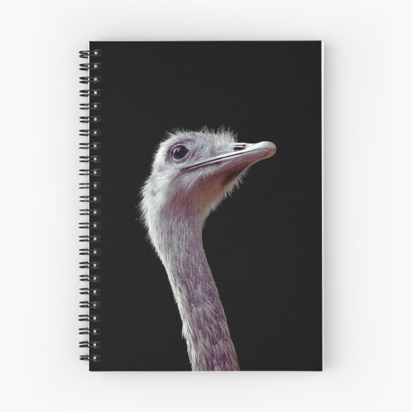Item preview, Rhea Bird Head designed and sold by HistoryDesigns.