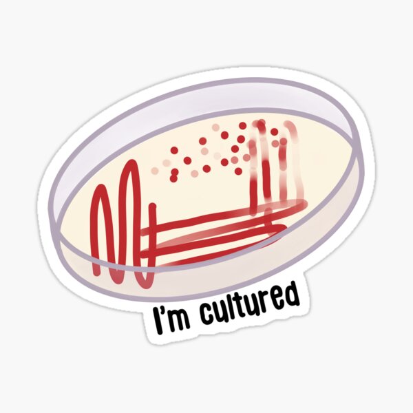 Vista previa del artículo con la obra «Soy culta», diseñado y vendido por STEM-women.
