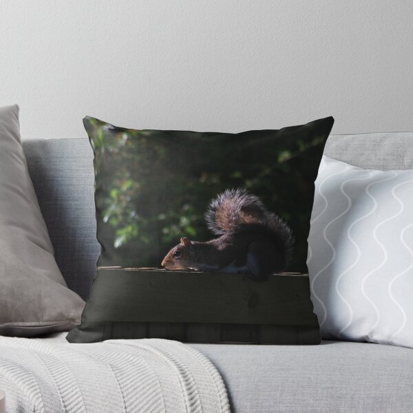 Item preview, Grey squirrel on garden fence designed and sold by turniptowers.
