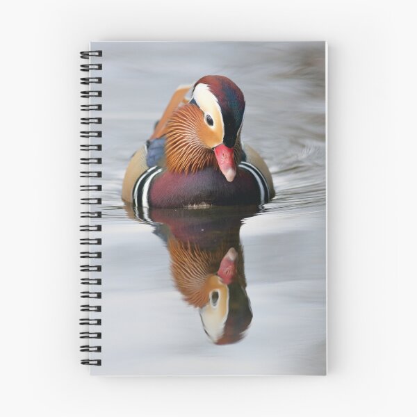 Item preview, Mandarin Reflection designed and sold by Grant Glendinning.