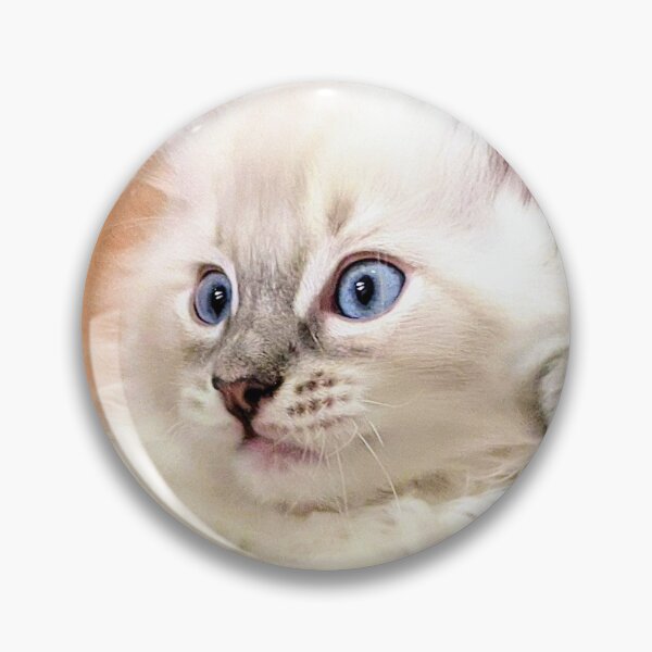 Item preview, Lynx ragdoll kitten designed and sold by Fluffycat2020.