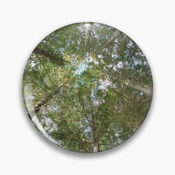 Item preview, up through the trees designed and sold by ET Finn.