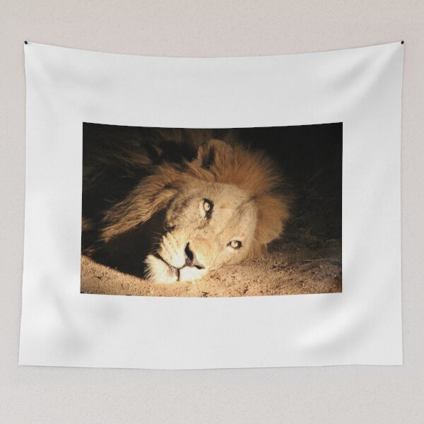 Item preview, Lion King designed and sold by AmyOB50.
