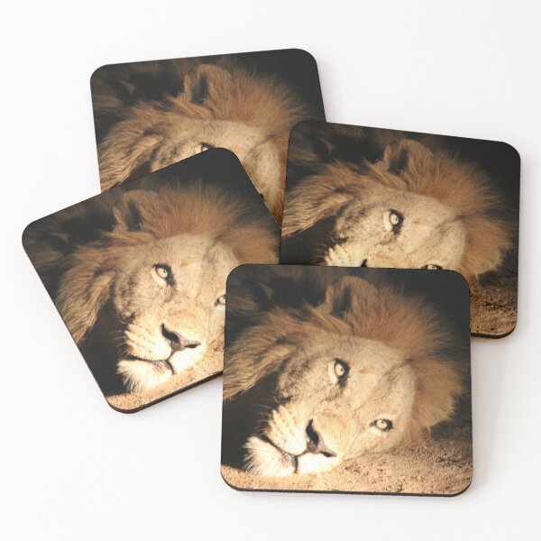 Item preview, Lion King designed and sold by AmyOB50.