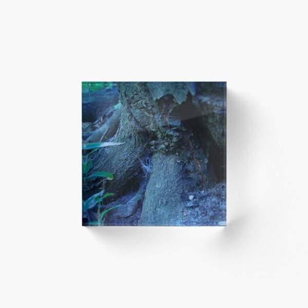 Item preview, Fortaleza designed and sold by InhumanImaging.