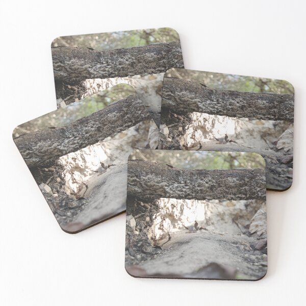 Item preview, Elementary World designed and sold by InhumanImaging.