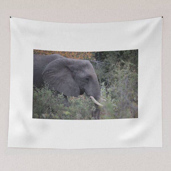 Item preview, Elephant designed and sold by AmyOB50.