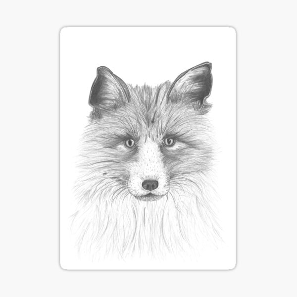 Ivy the Fox Sticker