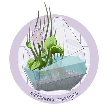 Artwork thumbnail, Terrarium - Eichhornia crassipes by evilrobotcat