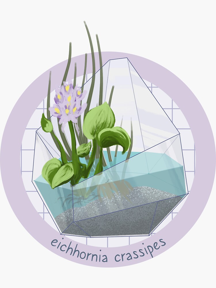 Thumbnail 3 of 3, Sticker, Terrarium - Eichhornia crassipes designed and sold by evilrobotcat.