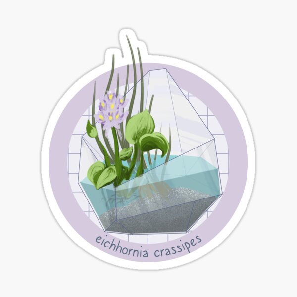Terrarium - Eichhornia crassipes Sticker