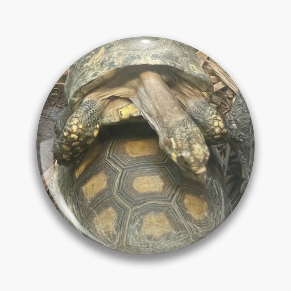 Item preview, Love turtles  designed and sold by Lowkey3365.