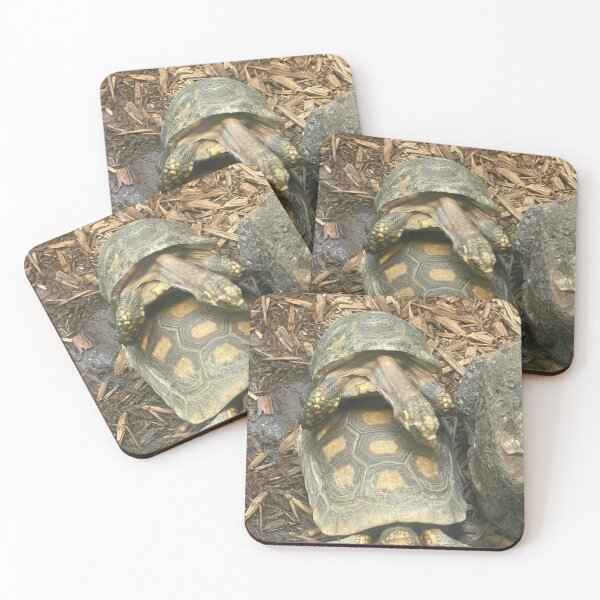 Item preview, Love turtles  designed and sold by Lowkey3365.