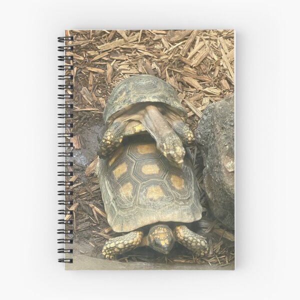 Item preview, Love turtles  designed and sold by Lowkey3365.