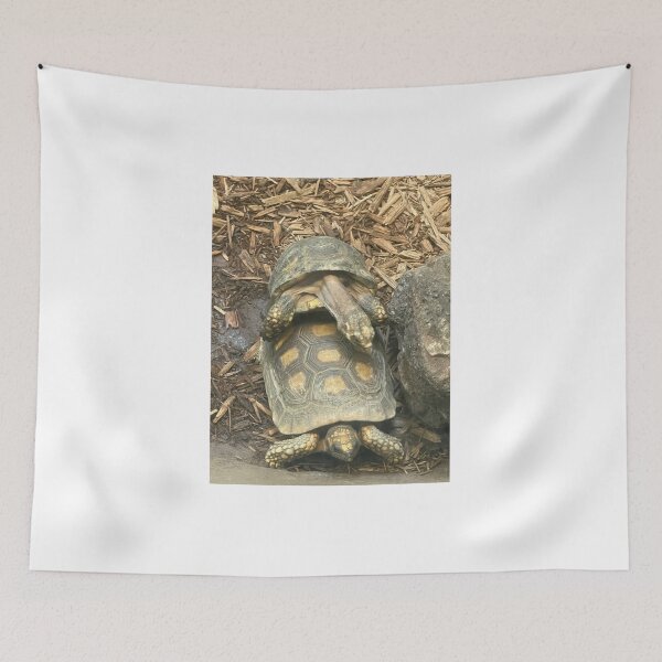 Item preview, Love turtles  designed and sold by Lowkey3365.