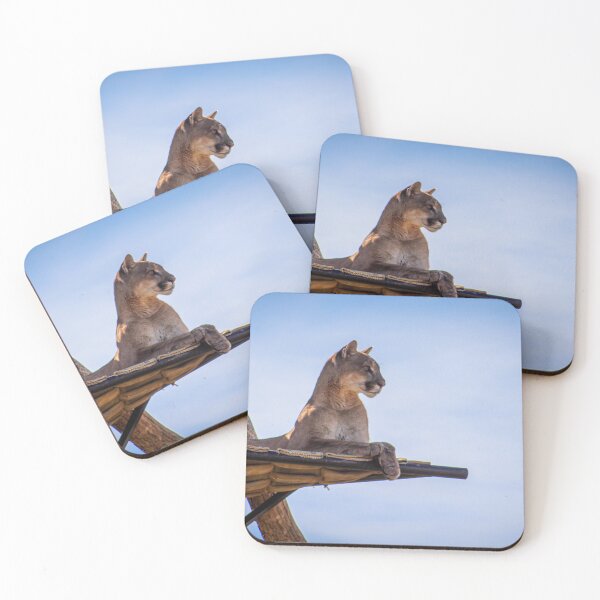 Item preview, Mountain Lion designed and sold by ChrissyHull.