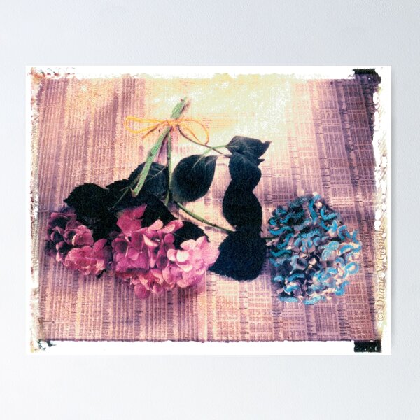 Item preview, Red and Blue Hydrangea Still Life designed and sold by Duane  Gamble (Creative Photo Products).