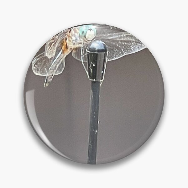 Item preview, Dragon fly designed and sold by Lowkey3365.