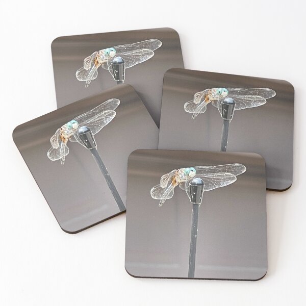 Item preview, Dragon fly designed and sold by Lowkey3365.