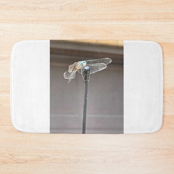 Item preview, Dragon fly designed and sold by Lowkey3365.
