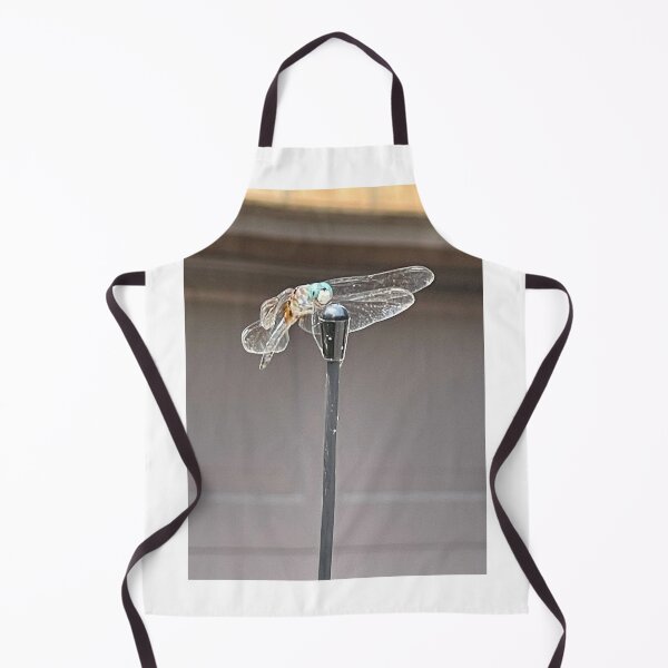 Item preview, Dragon fly designed and sold by Lowkey3365.