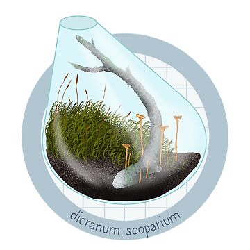 Artwork thumbnail, Terrarium - Dicranum Scoparium by evilrobotcat