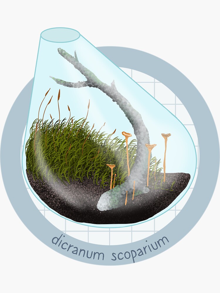 Thumbnail 3 of 3, Sticker, Terrarium - Dicranum Scoparium designed and sold by evilrobotcat.