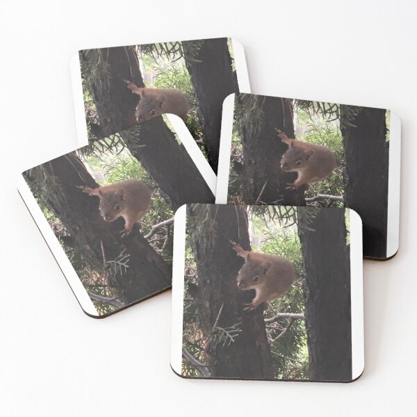 Item preview, Squirrel  designed and sold by Lowkey3365.