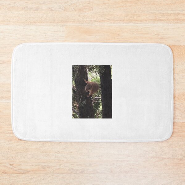 Item preview, Squirrel  designed and sold by Lowkey3365.