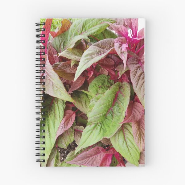 Item preview, Nature Design - Purple Red & Green Leafy Plant designed and sold by joyofnature.