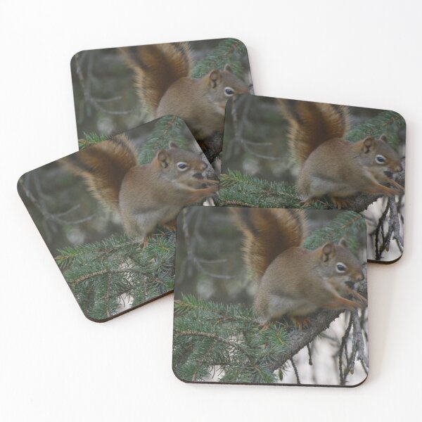 Item preview, Squirrel! designed and sold by UniqueViews87.