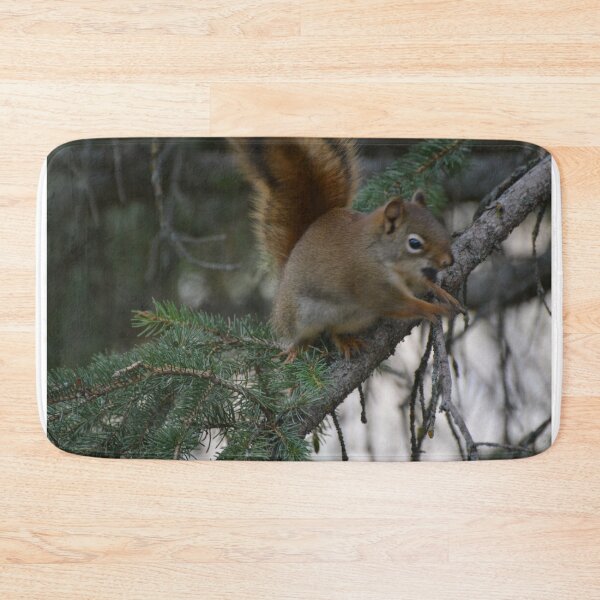 Item preview, Squirrel! designed and sold by UniqueViews87.