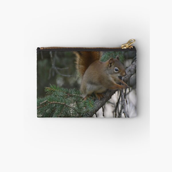 Item preview, Squirrel! designed and sold by UniqueViews87.